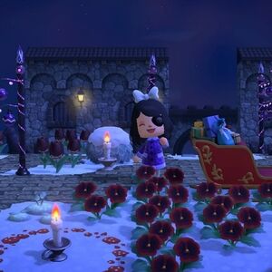 Meet your Posher, Sam